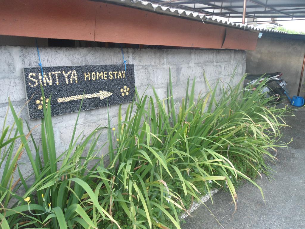 辛提亚寄宿旅馆 乌布 外观 照片